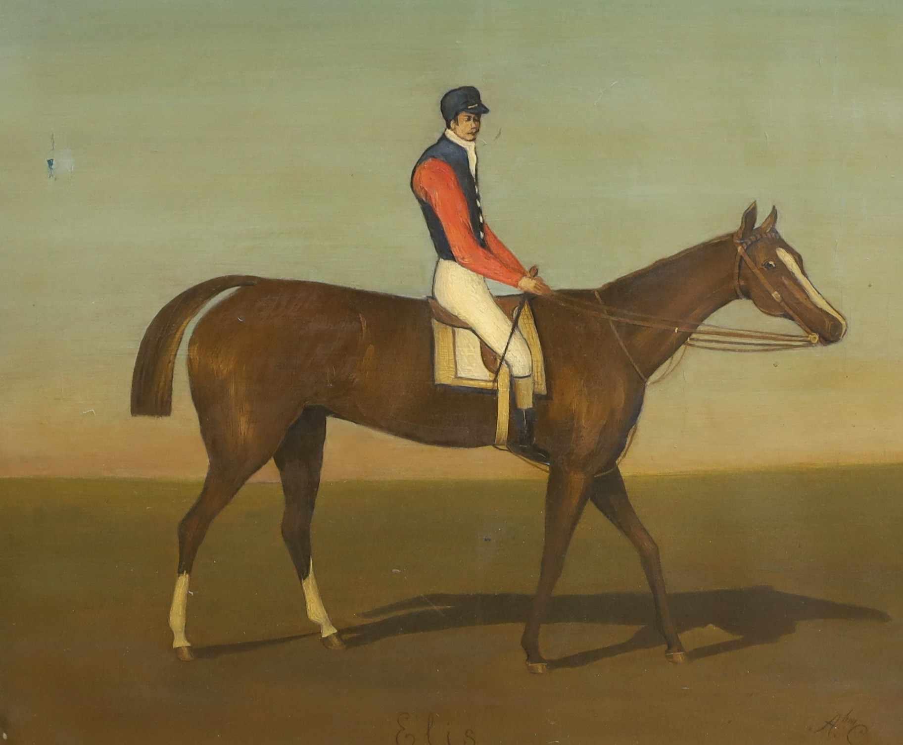 Abraham C. oil on canvas, Racehorse 'Elis' with jockey up, signed, 49 x 60cm